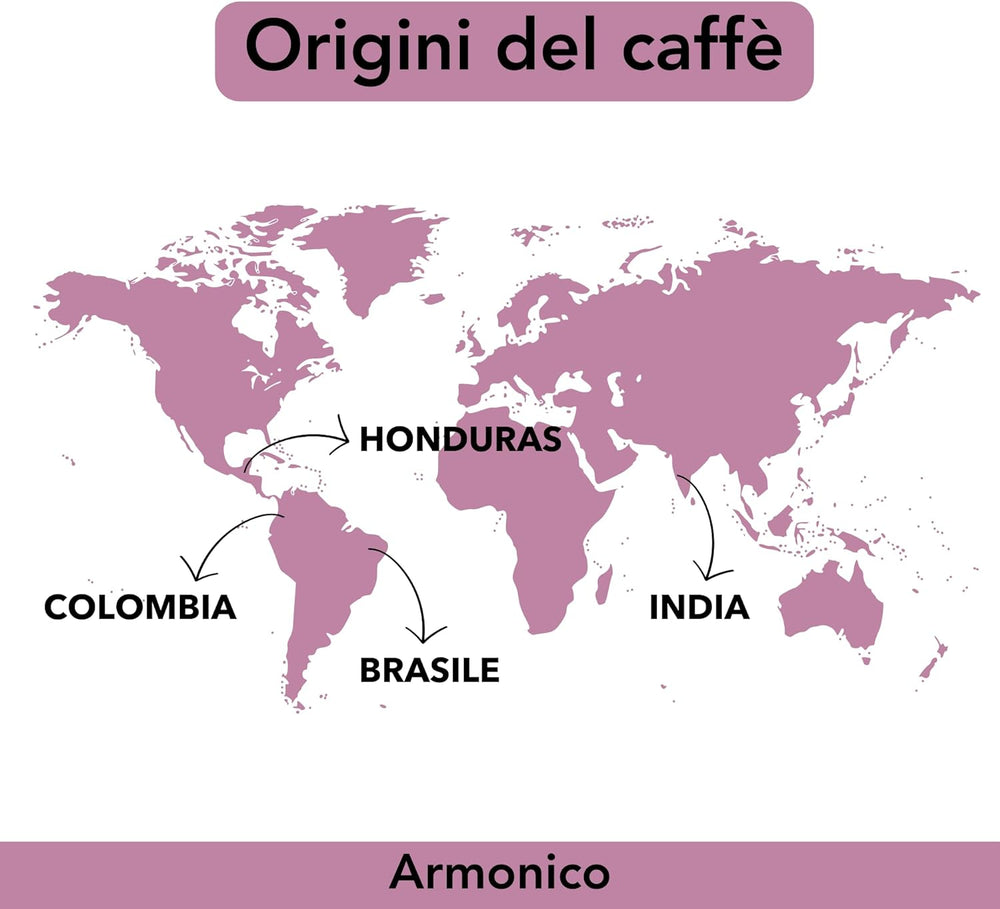 
                  
                    CAFFÈ IN GRANI ARMONICO 1 KG - Musetti shop
                  
                