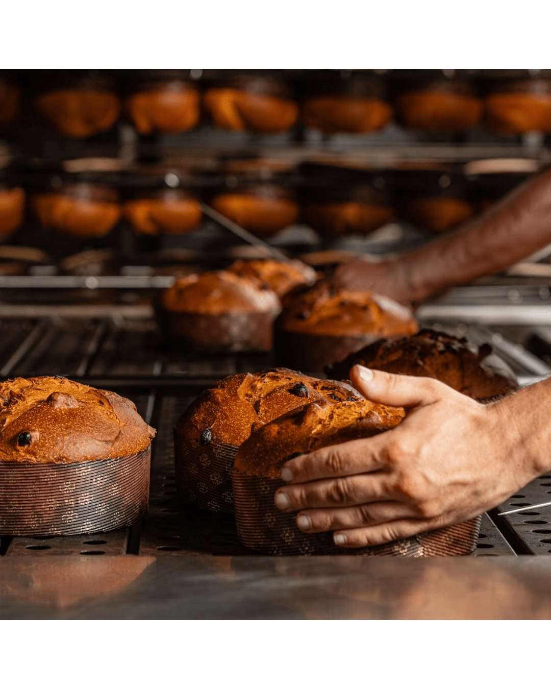 Panettone con Crema al Limone, 750g - Musetti shop